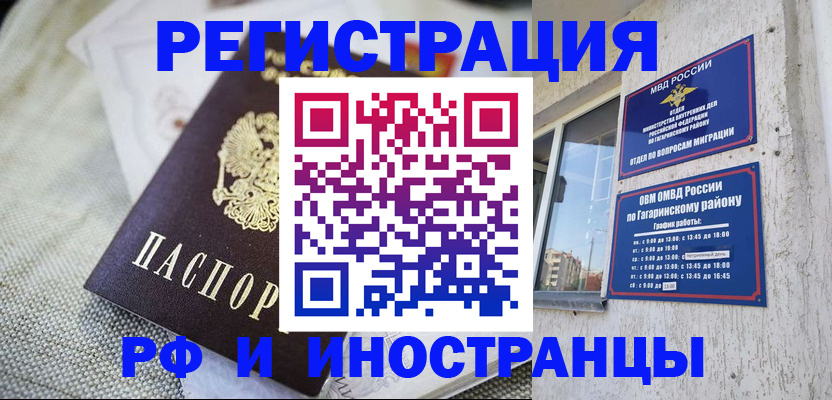 прописка для школы в Ленинградской области